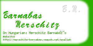 barnabas merschitz business card